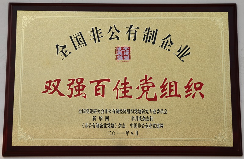 全國非公企業(yè)“雙強(qiáng)百佳黨組織”（2011）